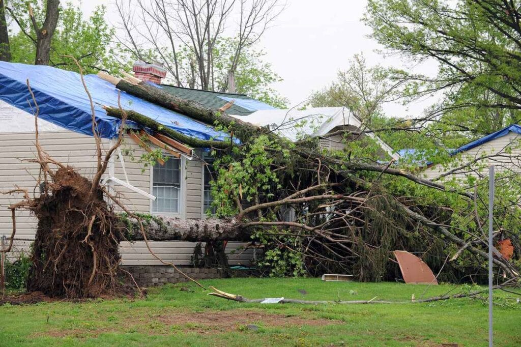 A large tree has fallen onto a house in Bergen County, NJ, causing visible damage. A tarp covers part of the roof while branches and debris scatter the yard. With trees still standing in the background, it's clear a skilled roofer in Bergen County, NJ is urgently needed.