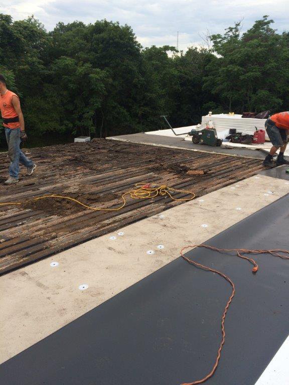 TPO roofing professional installation