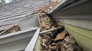 A closer look at a home's clogged gutters